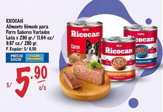 Ricocan - Alimento Húmedo para Perro Sabores Variados