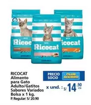 Ricocat - Alimento para Gato Adulto/Gatitos Sabores Variados
