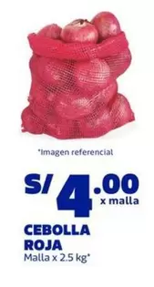 CEBOLLA ROJA