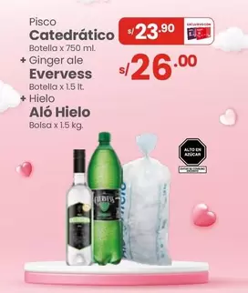 Evervess - Catedrático