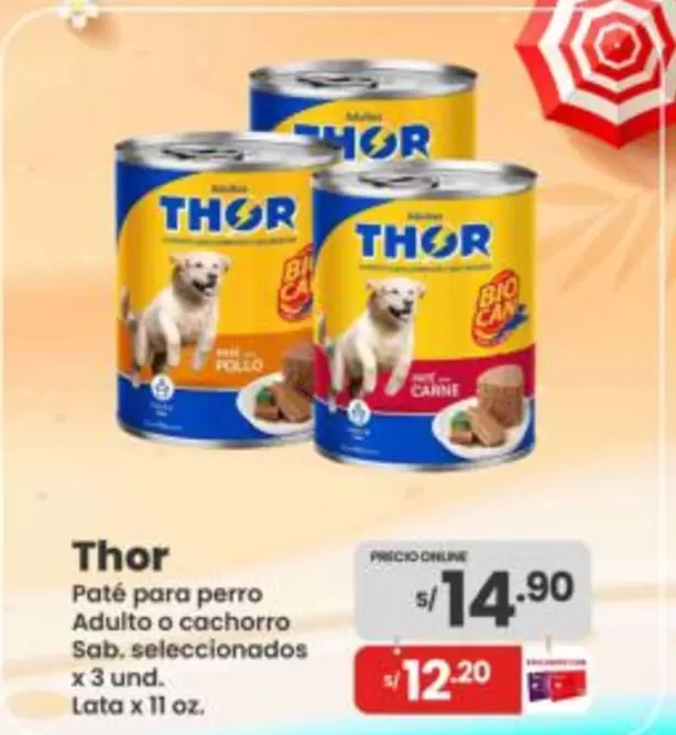 Thor - Paté para perro