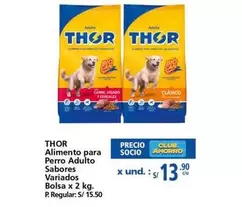 Thor - Alimento para Perro Adulto Sabores Variados