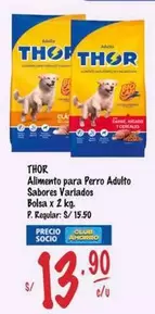 Thor - Alimento para Perro Adulto Sabores Variados