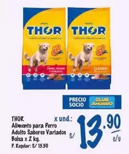 Thor - Alimento para Perro Adulto Sabores Variados