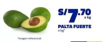 PALTA FUERTE