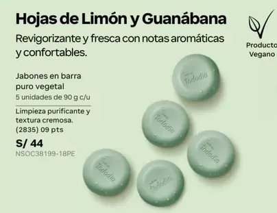 PTS - Hojas de Limón y Guanábana