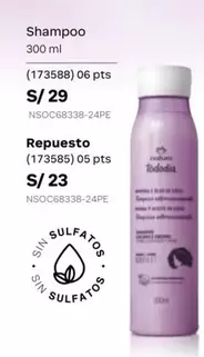PTS - Shampoo
