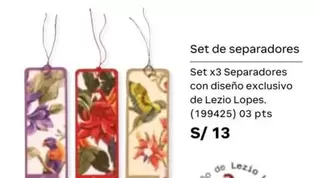 PTS - Set de separadores