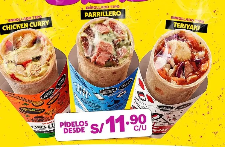 CHICKEN CURRY, PARRILLERO, TERIYAK