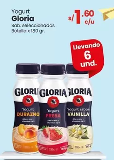 Gloria - Yogurt