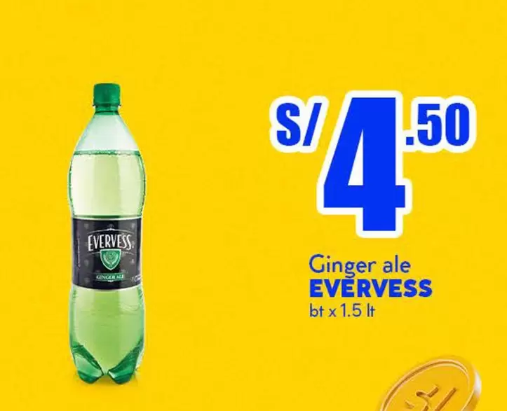 Evervess - Ginger ale