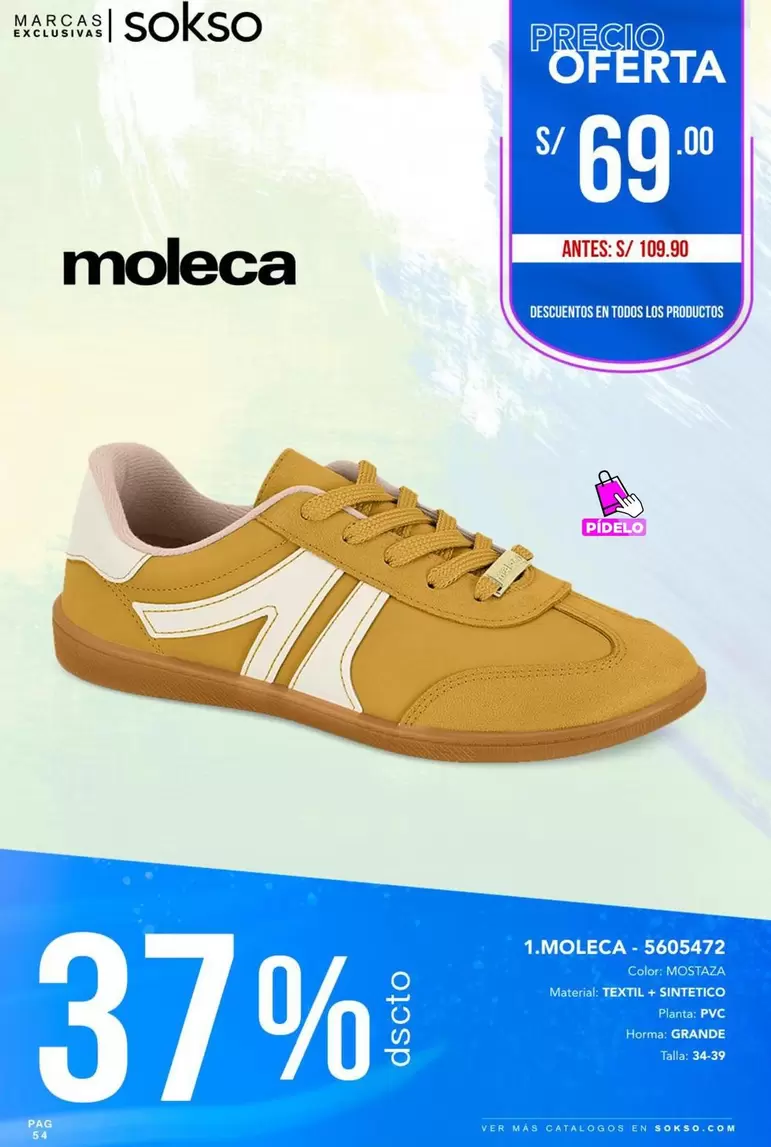 1. MOLECA-5605472