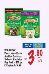 Dog Chow - Pouch para Perro Adulto/ Cachorro Sabores Variados