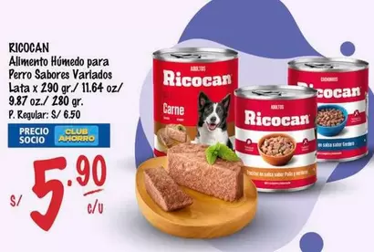 Ricocan - Alimento Húmedo para Perro Sabores Variados