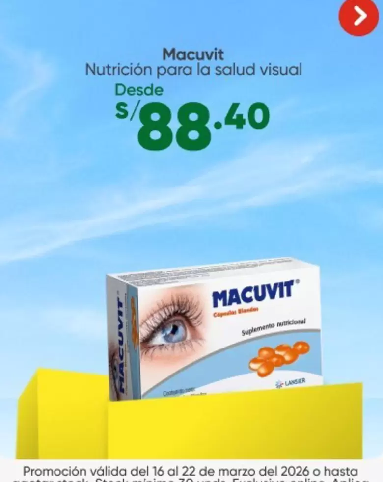 Nutrición para la salud visual