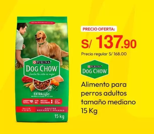 Vida - Dog Chow