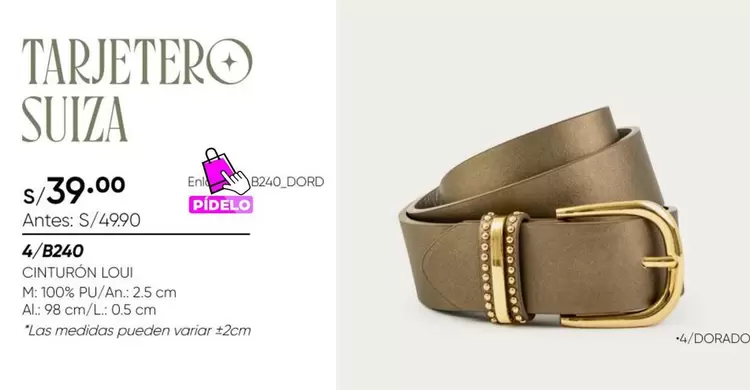 Suiza - TARJETEROSUIZA 4/B240 CINTURON LOUI