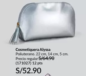 PTS - Cosmetiquera Alyssa (171027)