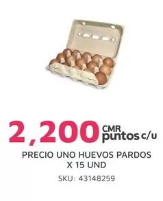 HUEVOS PARDOS
