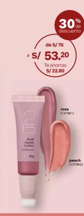 Blush Gentle Cushion