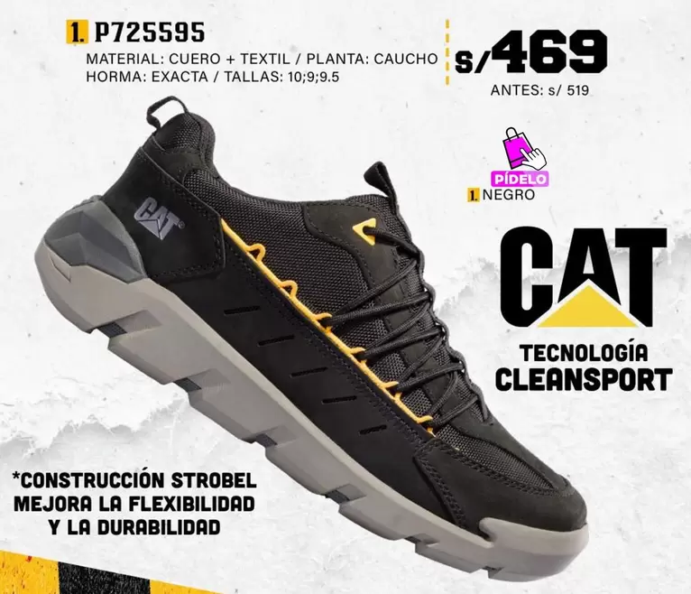 Cat - P725595