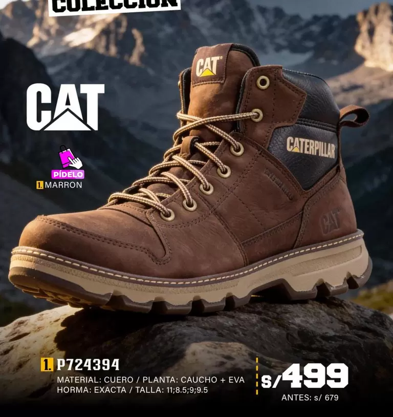 Cat - P724394