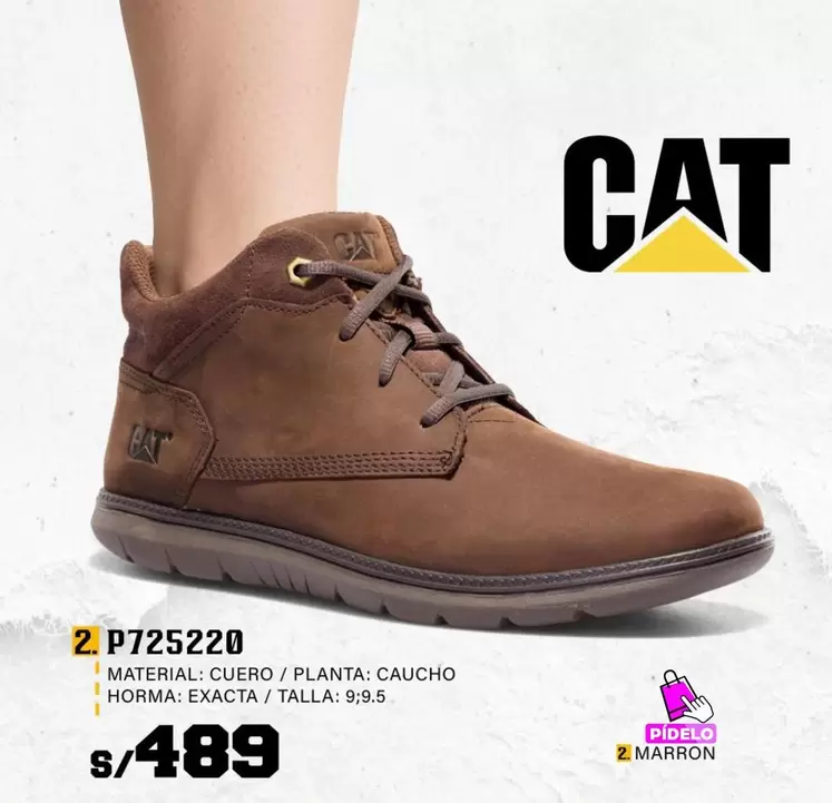 Cat - Botín P725220