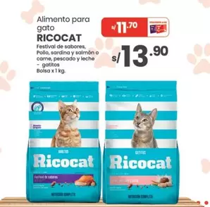 Gato - Alimento para gato