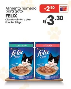Gato - Alimento húmedo para gato