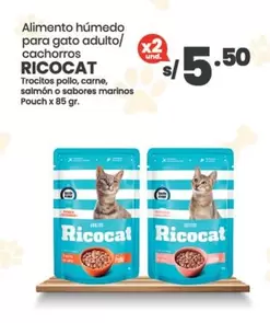 Ricocat - Alimento húmedo para gato adulto/cachorros
