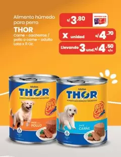 Thor - Alimento húmedo para perro