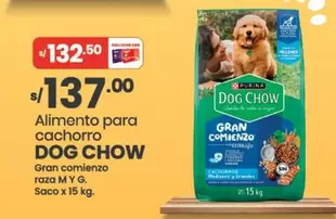 Dog Chow - Alimento para cachorro