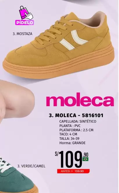 MOLECA - 5816101