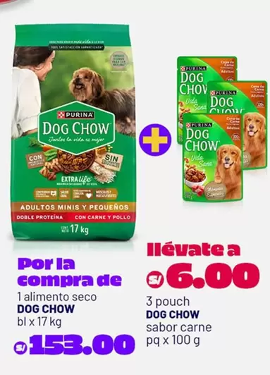 Vida - DOG CHOW ADULTOS MINI Y PEQUE
uevoS DOBLE PROTE
uevoNA