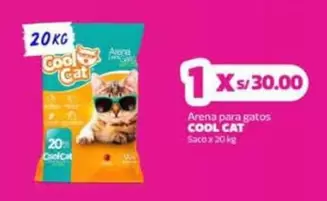 Cat - Arena para gatos