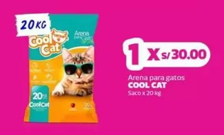 Cat - Arena para gatos