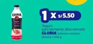 Gloria - Yogurt