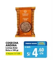 Oro - Lenteja Bebé Bolsa