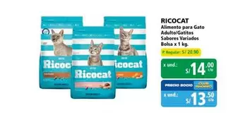 Ricocat - Alimento para Gato Adulto/Gatitos