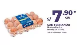 San Fernando - Huevos Pardos Bandeja