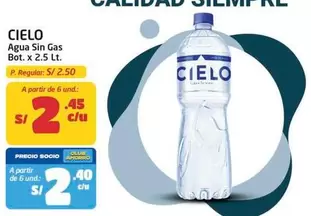 Cielo - Agua Sin Gas Bot.