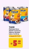 Thor - Paté para Perro Adulto/Cachorros