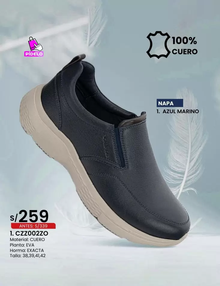 Azul Marino - Zapatos 1. CZ20022O