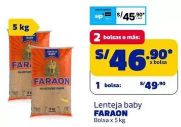 Faraon - Lenteja baby