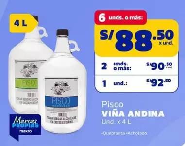 Viña Andina - Pisco