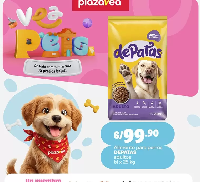 Alimento para perros adultos