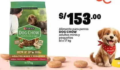 Dog Chow - Alimento para perros adultos mini y pequeños