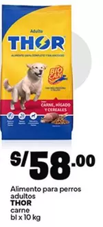 Thor - Alimento para perros adultos carne