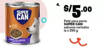 Paté para perro
