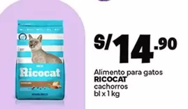 Ricocat - Alimento para gatos cachorros